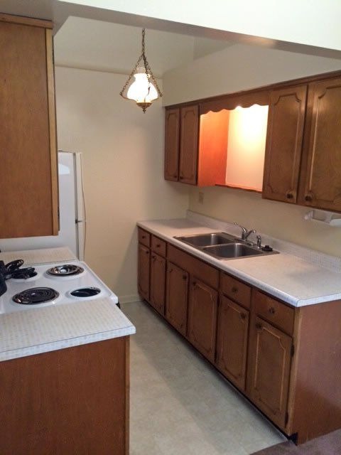 Willow Street Rentals property photo 3